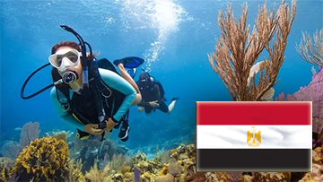 Atestat Scafandru PADI Open Water Diver - Egipt
