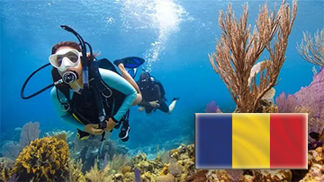 Atestat Scafandru PADI Open Water Diver