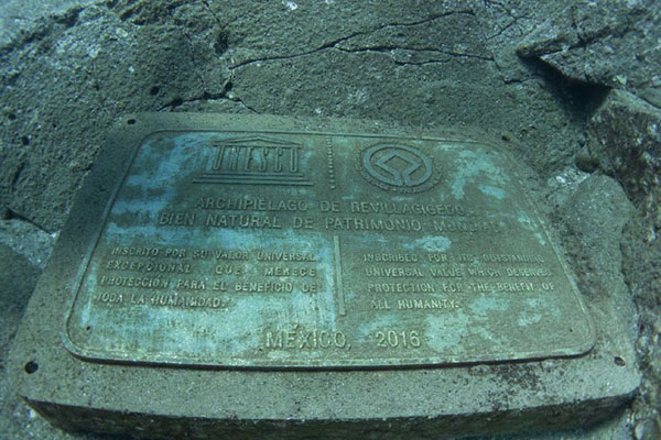 Excursie de scufundari in Socorro - Mexic