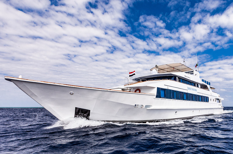 Liveaboard scuba diving Sudan Deep South Tour 04.04.2024 - 18.04.2024 cu Royal Evolution <br><h1>!!! ANULAT !!!</h1><h2>Din motive de securitate, aceasta excursie nu se poate desfasura. Odata cu revenirea la normalitate in Sudan,excursia se va reprograma!