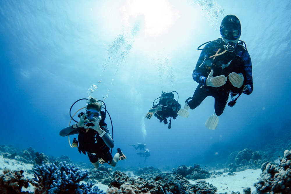 18-25 MAI 2024 - SHARM EL SHEIKH - EXCURSIE DE SCUFUNDARI