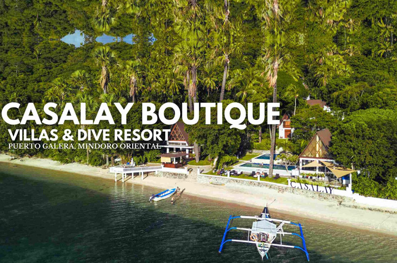 <br>BACK TO THE PHILIPPINES