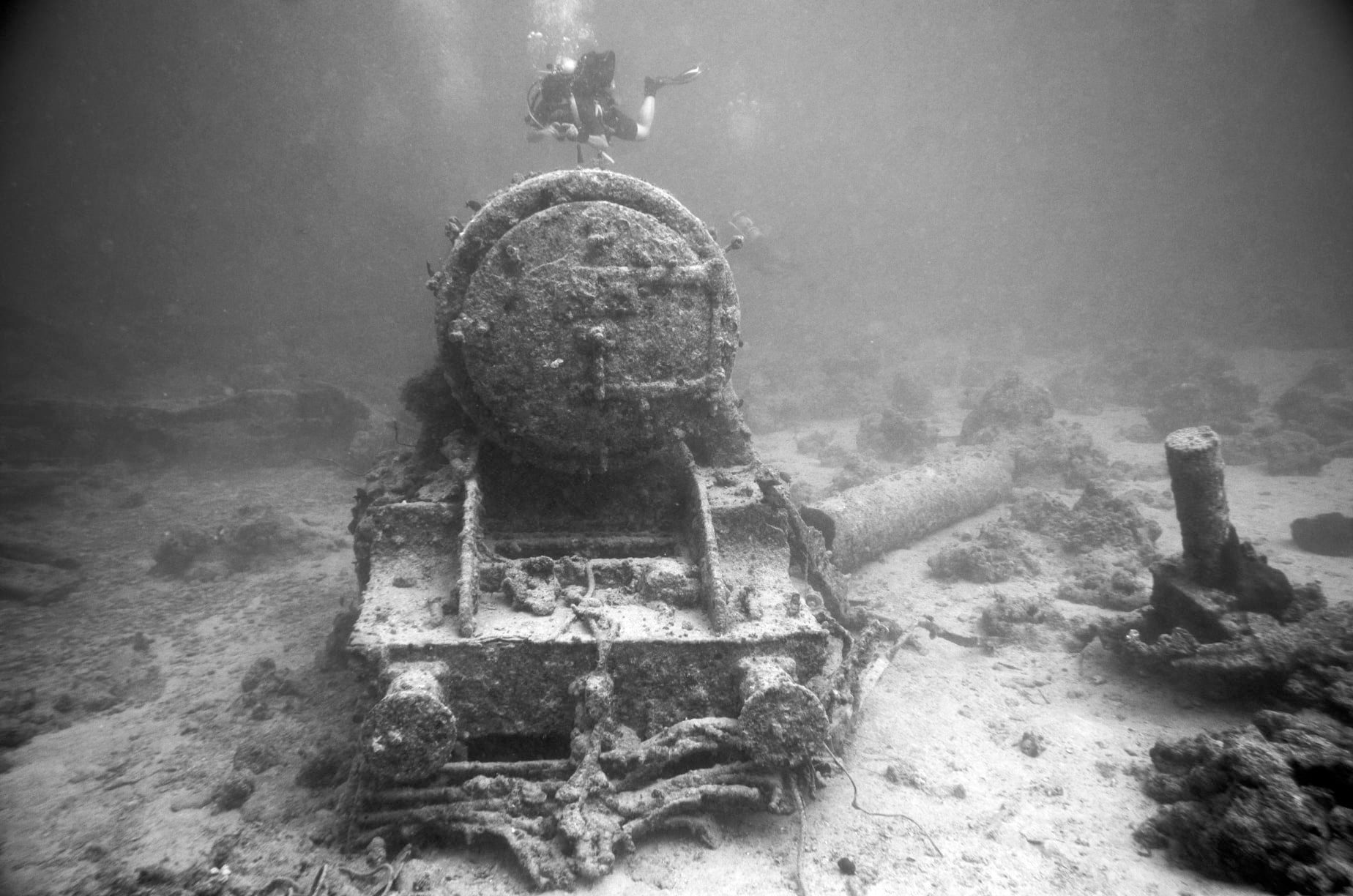 DIVE SAFARI EGIPT - REEFS & WRECKS - Septembrie 2020