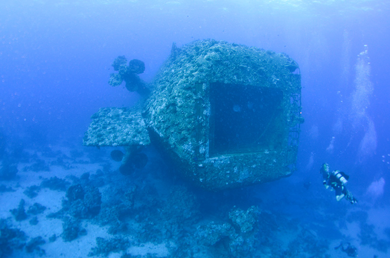 DIVE SAFARI EGIPT - FAMOUS FIVE - NOIEMBRIE 2020