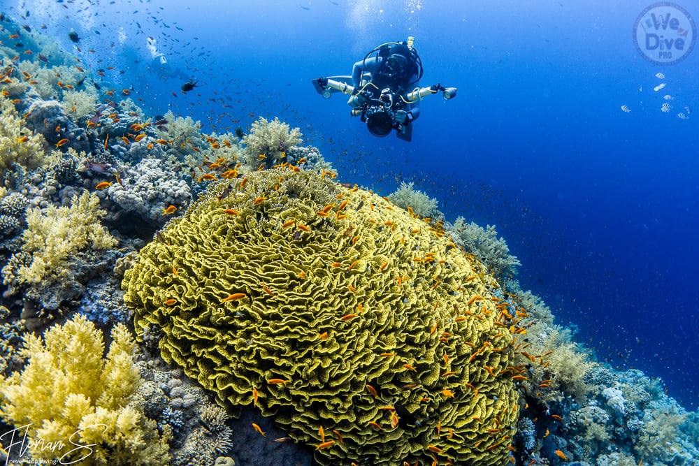 26.09 - 03.10 2021 - Excursie de scufundari in Marea Rosie