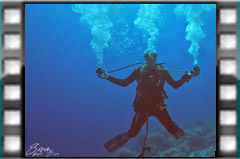 Filmare subacvatica - scuba underwater video - Freeflow.mp4